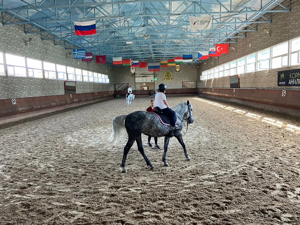Фото Конный парк Русь - развлечение в Москве | Досугатор
